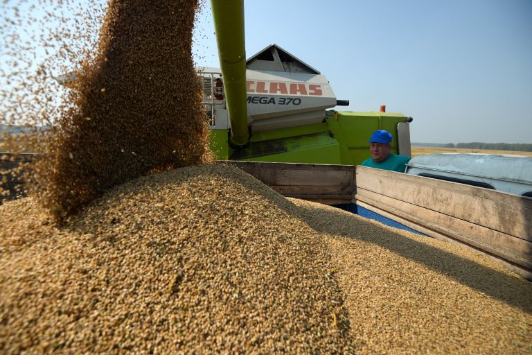 Уборка урожая зерновых культур в Новосибирской области Уборка урожая зерновых культур в Новосибирской области