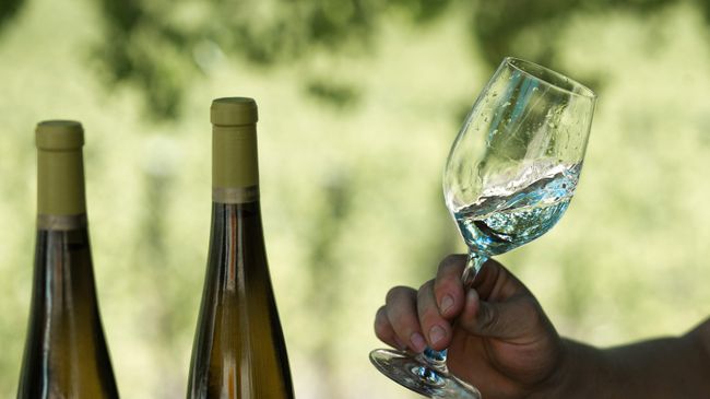 Винодельческое хозяйство UPPA Winery в Крыму. Архивное фото Винодельческое хозяйство UPPA Winery в Крыму. Архивное фото