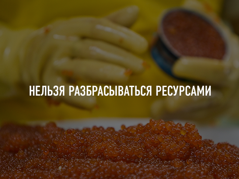 © РИА Новости