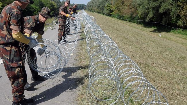 Венгерские военные устанавливают ограждения против беженцев на границе с Хорватией Венгерские военные устанавливают ограждения против беженцев на границе с Хорватией