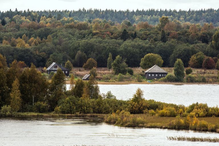 Осенние берега Онежского озера на территории государственного историко-архитектурного и этнографического музея-заповедника Кижи в Карелии Осенние берега Онежского озера на территории государственного историко-архитектурного и этнографического музея-заповедника Кижи в Карелии