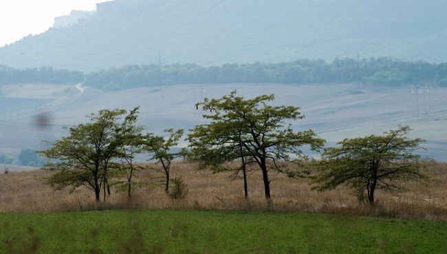 В окрестностях села Константиновка Симферопольского района Крыма. Архивное фото