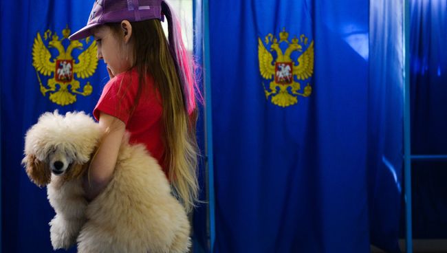 Девочка с собакой в единый день голосования на избирательном участке в Новосибирске