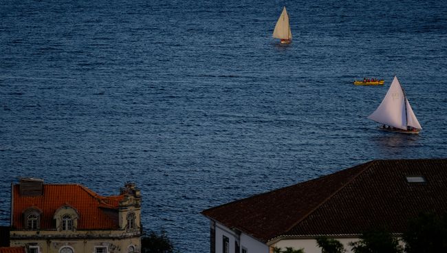 На острове Файал в Португалии. Архивное фото На острове Файал в Португалии. Архивное фото