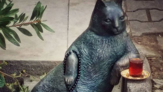 Памятник турецкому коту Tombili Памятник турецкому коту Tombili