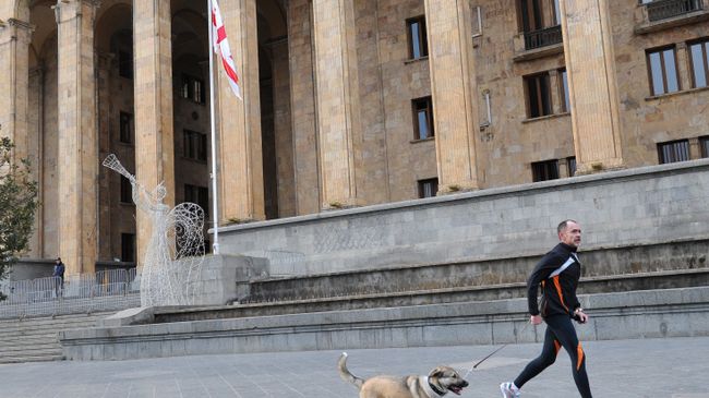 Мужчина с собакой на пробежке перед зданием парламента в Тбилиси Мужчина с собакой на пробежке перед зданием парламента в Тбилиси