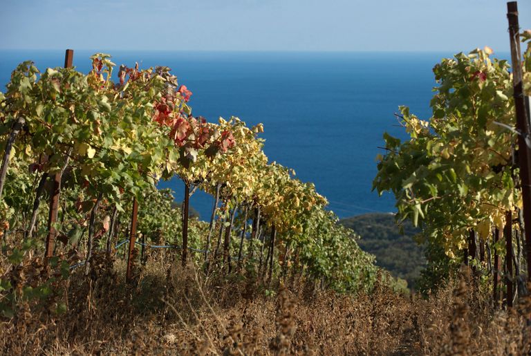 Осень в Крыму крым Осень в Крыму крым