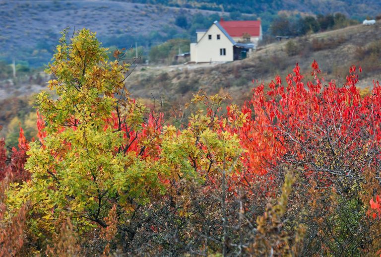 Осень в Крыму Осень в Крыму