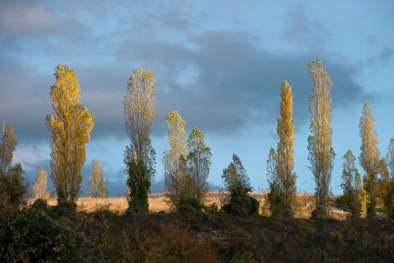 Осень в Крыму Осень в Крыму
