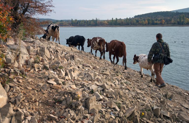 Осень в Крыму Осень в Крыму