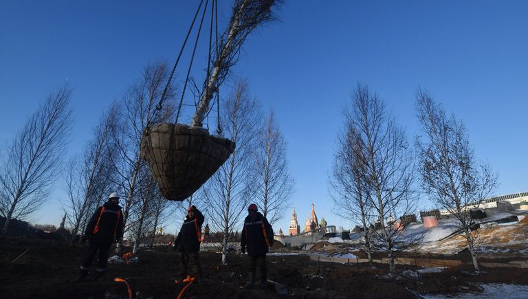 Рабочие высаживают деревья на строительстве парка Зарядье в Москве