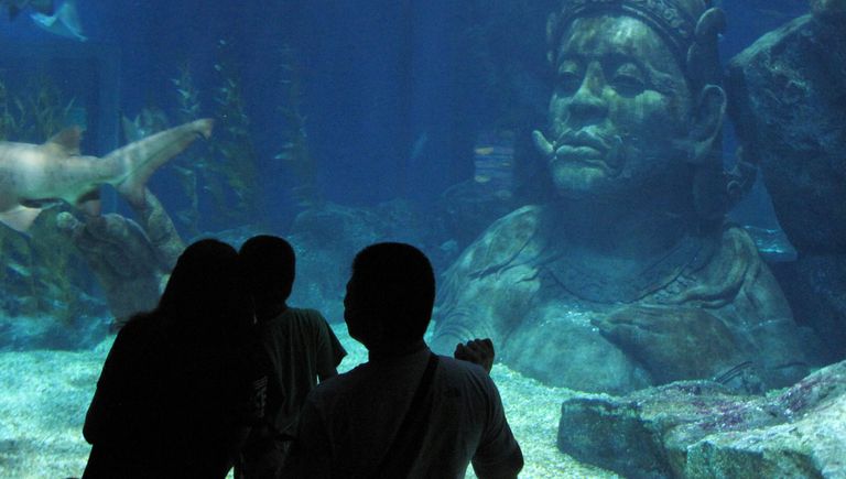 Океанариум Siam Ocean World в Бангкоке Океанариум Siam Ocean World в Бангкоке