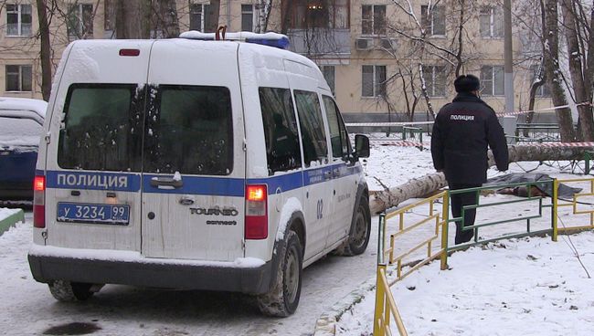 Работа оперативных служб на месте падения дерева в ВАО, где погибла женщина. 1 декабря 2016 Работа оперативных служб на месте падения дерева в ВАО, где погибла женщина. 1 декабря 2016
