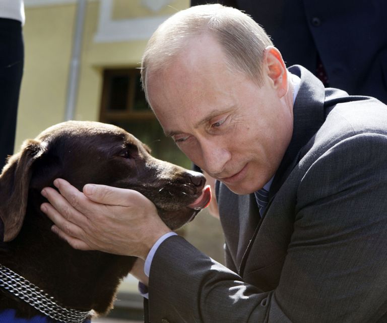 Владимир Путин с собакой породы лабрадор по кличке Тоник во время встречи с российскими спасателями в резиденции Ново-Огарево. 6 июня 2008 Владимир Путин с собакой породы лабрадор по кличке Тоник во время встречи с российскими спасателями в резиденции Ново-Огарево. 6 июня 2008
