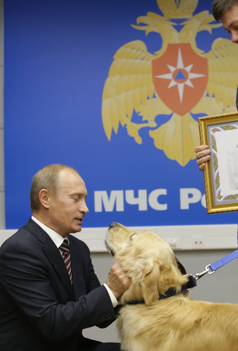 Председатель правительства РФ Владимир Путин посетил Национальный центр управления в кризисных ситуациях МЧС России. 21 сентября 2009 Председатель правительства РФ Владимир Путин посетил Национальный центр управления в кризисных ситуациях МЧС России. 21 сентября 2009