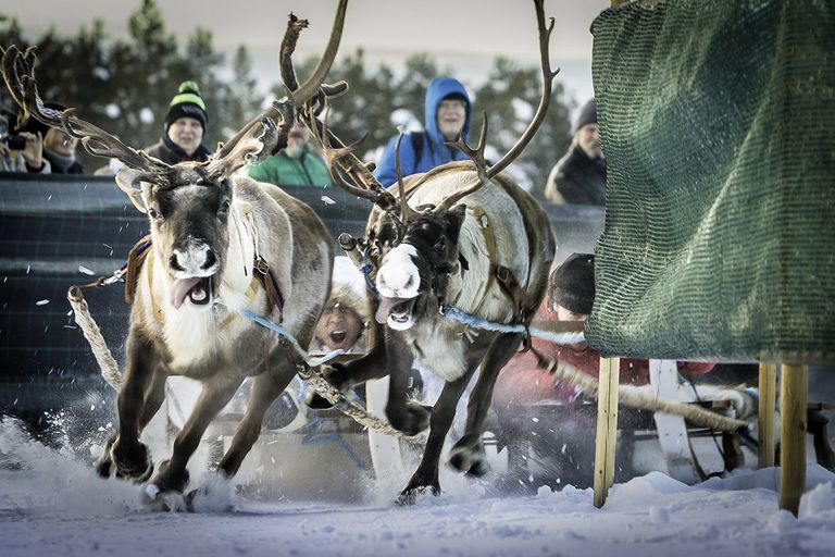Работа фотографа Raimondo Norberto для конкурса Travel Photographer of the Year 2016 Работа фотографа Raimondo Norberto для конкурса Travel Photographer of the Year 2016