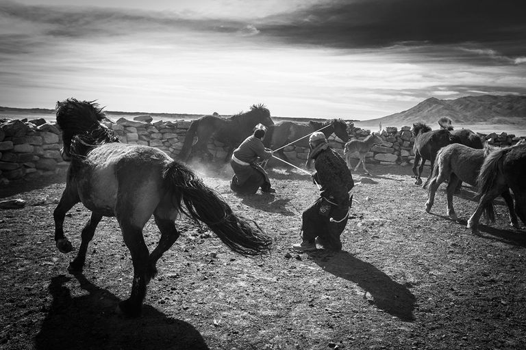 Работа фотографа Beniamino Pisati для конкурса Travel Photographer of the Year 2016 Работа фотографа Beniamino Pisati для конкурса Travel Photographer of the Year 2016