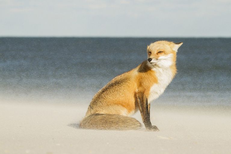 Работа фотографа Courtney Moore для конкурса Travel Photographer of the Year 2016 Работа фотографа Courtney Moore для конкурса Travel Photographer of the Year 2016