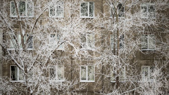 Аномальные морозы в Омске. Архивное фото Аномальные морозы в Омске. Архивное фото