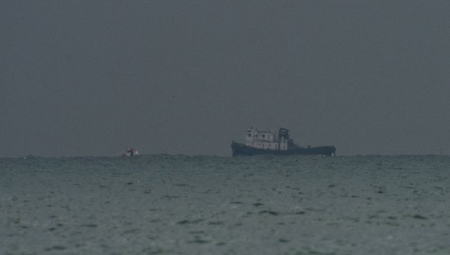 Поисково-спасательные работы на месте крушения самолёта Ту-154 Минобороны РФ в Сочи