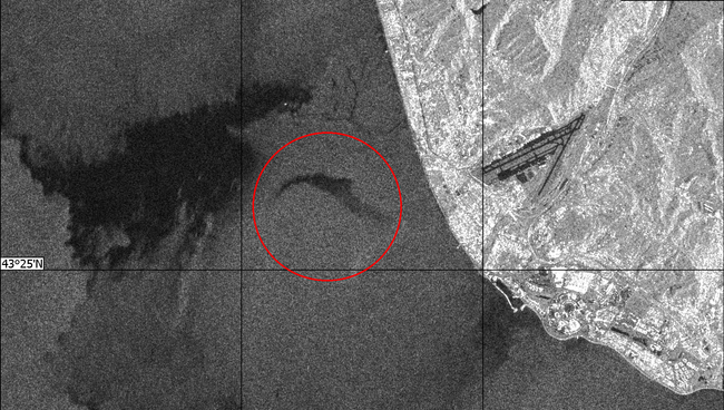Радиолокационное изображение района катастрофы самолета Ту-154 в Сочи Радиолокационное изображение района катастрофы самолета Ту-154 в Сочи