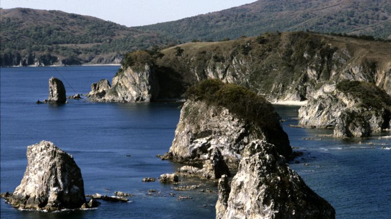 Береговая черта западного участка Дальневосточного морского заповедника. Залив Петра Великого Береговая черта западного участка Дальневосточного морского заповедника. Залив Петра Великого