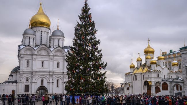 Родители с детьми в очереди на новогоднее представление в Государственном Кремлевском дворце в Москве. Архивное фото Родители с детьми в очереди на новогоднее представление в Государственном Кремлевском дворце в Москве. Архивное фото