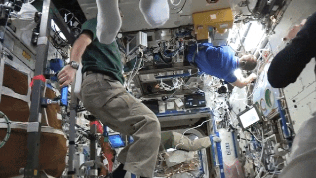 Mannequin Challenge на МКС gif Mannequin Challenge на МКС gif
