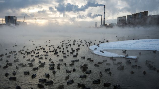 Аномальные морозы в Москве