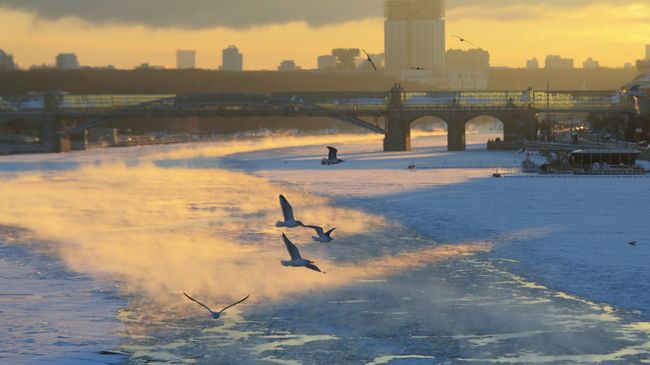 Москва-река. Архивное фото Москва-река. Архивное фото