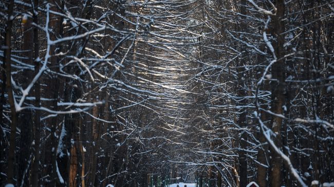 Люди гуляют в одном из парков. Архивное фото