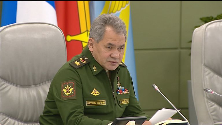 Шойгу об успешном выполнении задач в Сирии и нулевом вкладе РФ в борьбу с ИГ Шойгу об успешном выполнении задач в Сирии и нулевом вкладе РФ в борьбу с ИГ