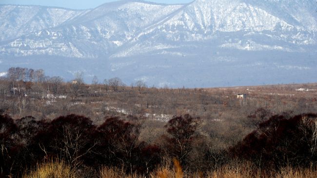 На территории национального парка Земля леопарда в Приморском крае. Архивное фото На территории национального парка Земля леопарда в Приморском крае. Архивное фото