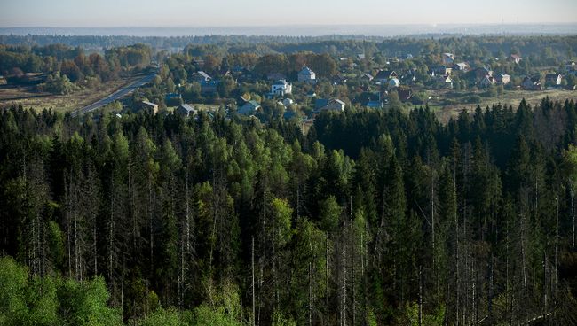 Зелёный щит защитит российские города. Архивное фото