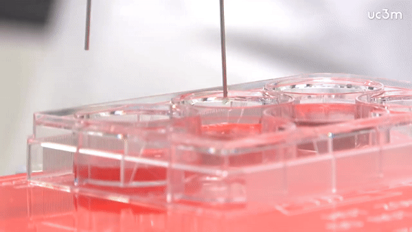 Ученые создали 3D-принтер, который печатает человеческую кожу Ученые создали 3D-принтер, который печатает человеческую кожу