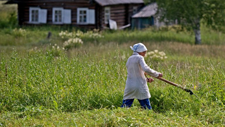 Кенозерский национальный парк Кенозерский национальный парк