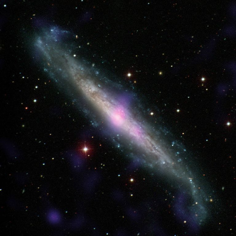Галактика NGC 1448 Галактика NGC 1448