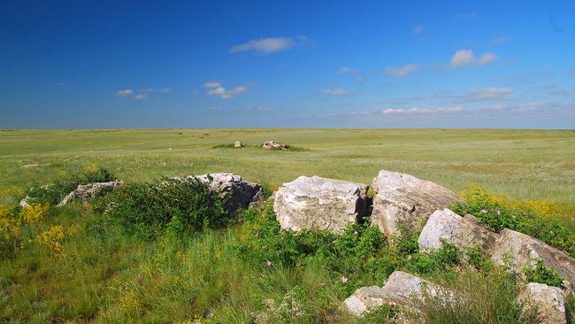 Оренбургская область