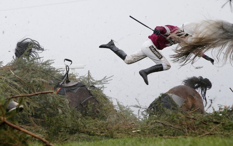 Grand National Steeplechase фотографа Tom Jenkins занявшего первое место в категории Спорт в фотоконкурсе World Press Photo Grand National Steeplechase фотографа Tom Jenkins занявшего первое место в категории Спорт в фотоконкурсе World Press Photo