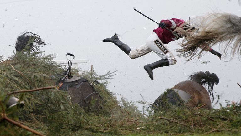 Grand National Steeplechase фотографа Tom Jenkins занявшего первое место в категории Спорт в фотоконкурсе World Press Photo Grand National Steeplechase фотографа Tom Jenkins занявшего первое место в категории Спорт в фотоконкурсе World Press Photo