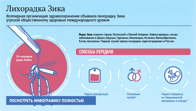 Лихорадка Зика Лихорадка Зика