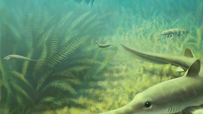 Монстры Тулли в водах морей каменноугольного периода Монстры Тулли в водах морей каменноугольного периода