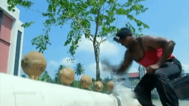 Кокосы кулаками gif Кокосы кулаками gif