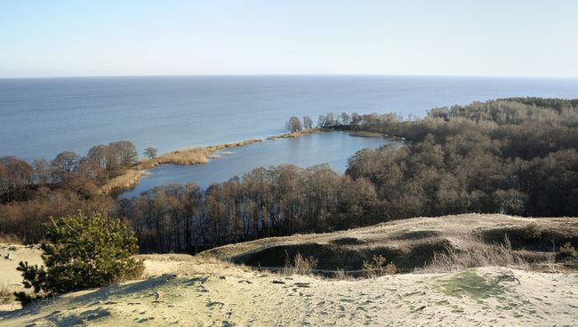 В нацпарке Куршская коса благоустраивают территорию В нацпарке Куршская коса благоустраивают территорию