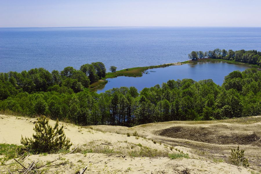 Национальный парк Куршская коса. Озеро Лебедь