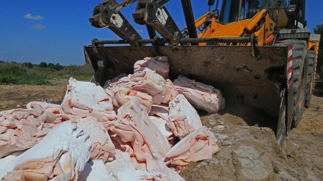 Уничтожение санкционных продуктов. Архивное фото
