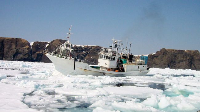 Российское рыболовецкое судно у берегов острова Хабомаи Малой Курильской гряды Российское рыболовецкое судно у берегов острова Хабомаи Малой Курильской гряды