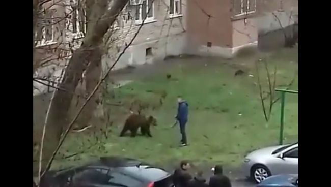 Мужчина выгуливает медведя в Таганроге. Стоп-кадр видео Мужчина выгуливает медведя в Таганроге. Стоп-кадр видео