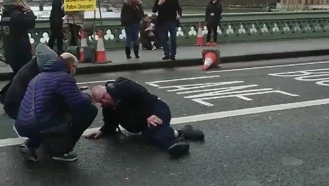 В Лондоне у здания парламента произошла стрельба. Видео с места событий В Лондоне у здания парламента произошла стрельба. Видео с места событий