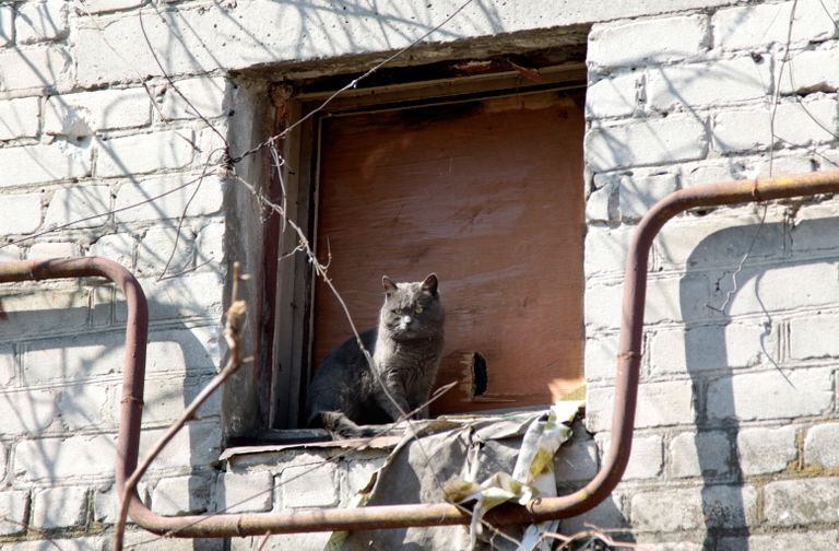 Жизнь в прифронтовом поселке Донецк-Северный в Донбассе Жизнь в прифронтовом поселке Донецк-Северный в Донбассе
